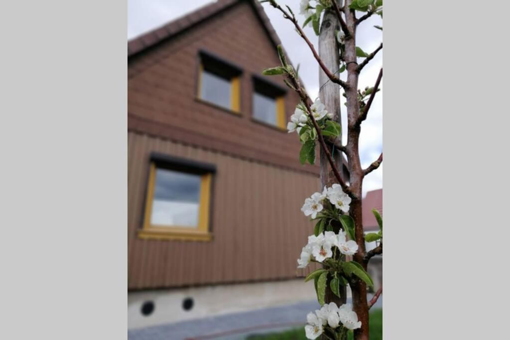 Harzhaus Ida Villa Elbingerode  Luaran gambar